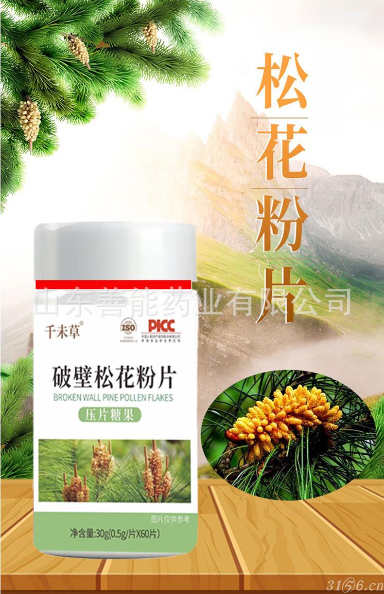 破壁松花粉片